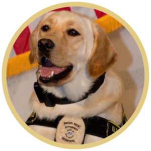 Photo of Special Agent Joey. Special Agent Joey is an Electronic Scent Detection K9, which means he can detect any device that has electronic storage. He is the only one in New Mexico. The photo is framed in a circle gold frame. Joey is a golden retriever.